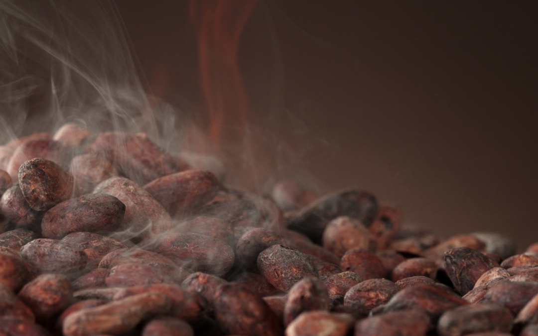 How to roast cocoa beans – Cocoa roasting process and its importance