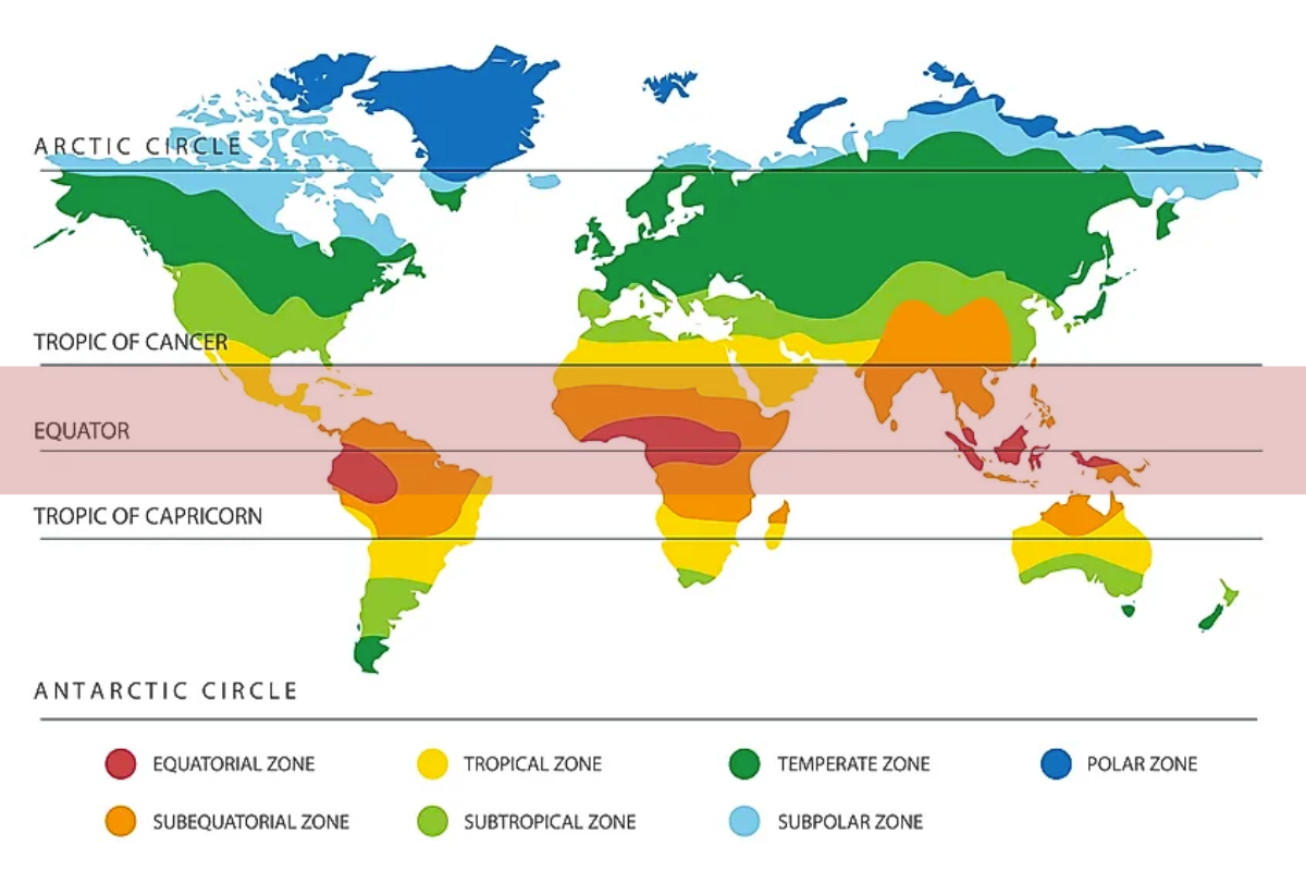 cacao production world map