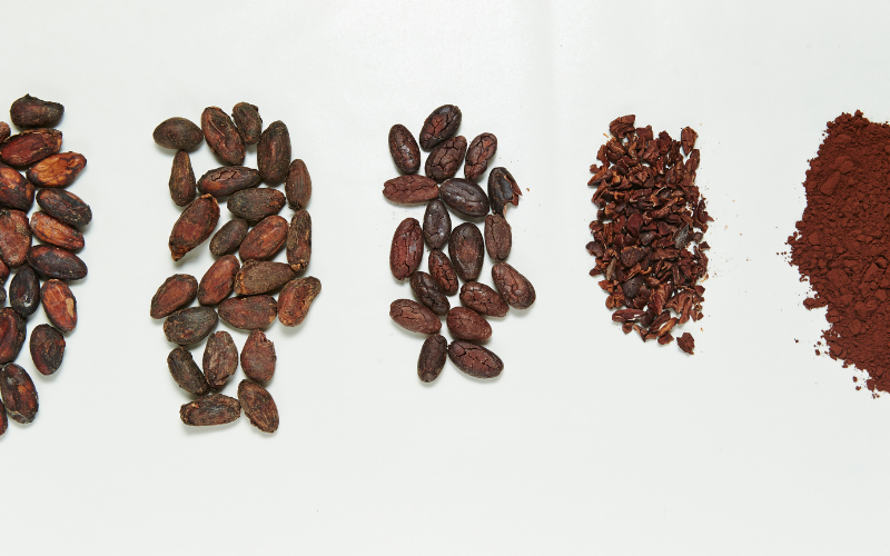 difference between Cocoa and cacao