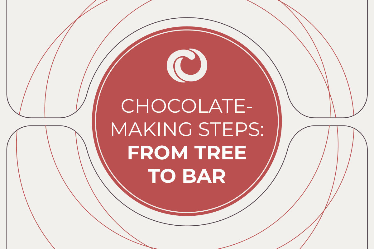how to make chocolate infographic
