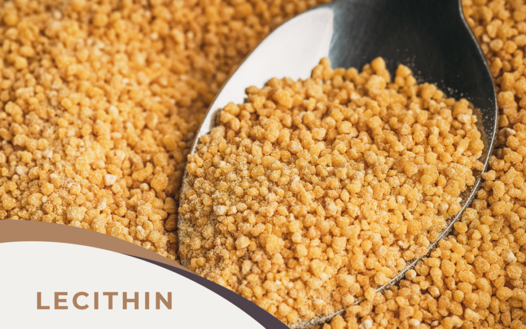 What is lecithin and why is it in chocolate?