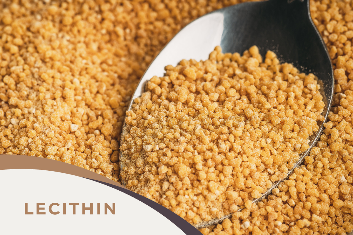 WHAT IS LECITHIN