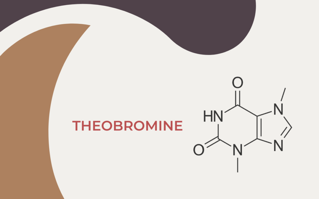 What is theobromine and how did it end up in my chocolate?