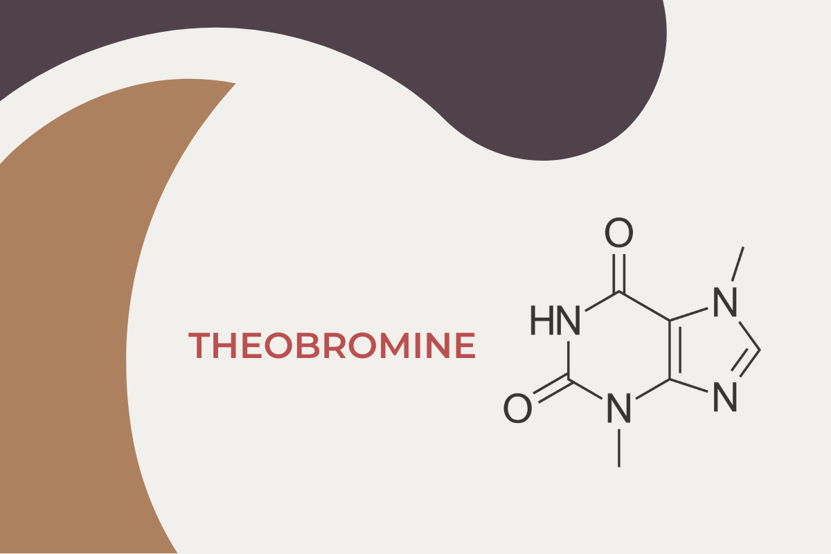 WHAT IS THEOBROMINE AND WHY IS IT IN CHOCOLATE COCOTERRA (1)