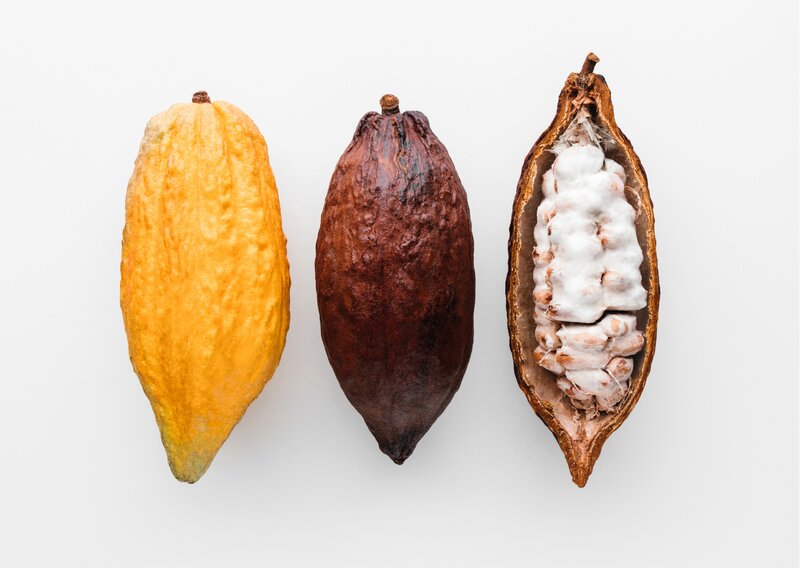cacao bean outside and inside