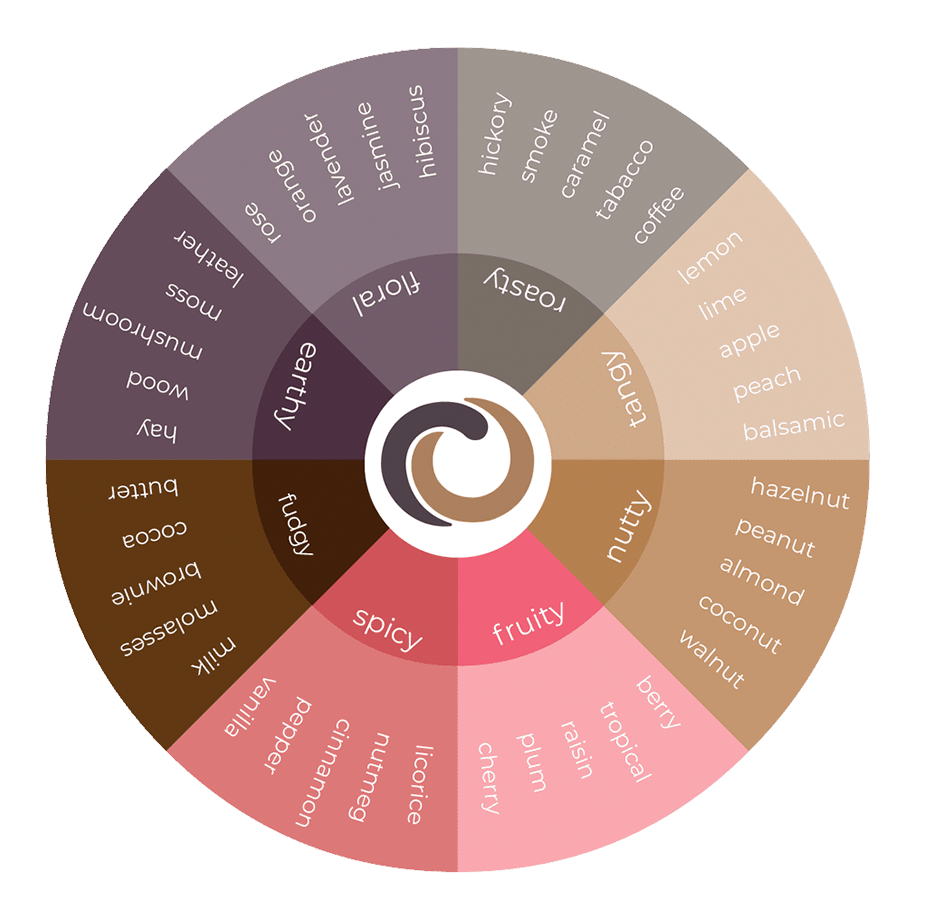 Flavor wheel for chocolate tasting- Floral Fruity Earthy Fudgy Nutty Tangy Spicy Roasty 