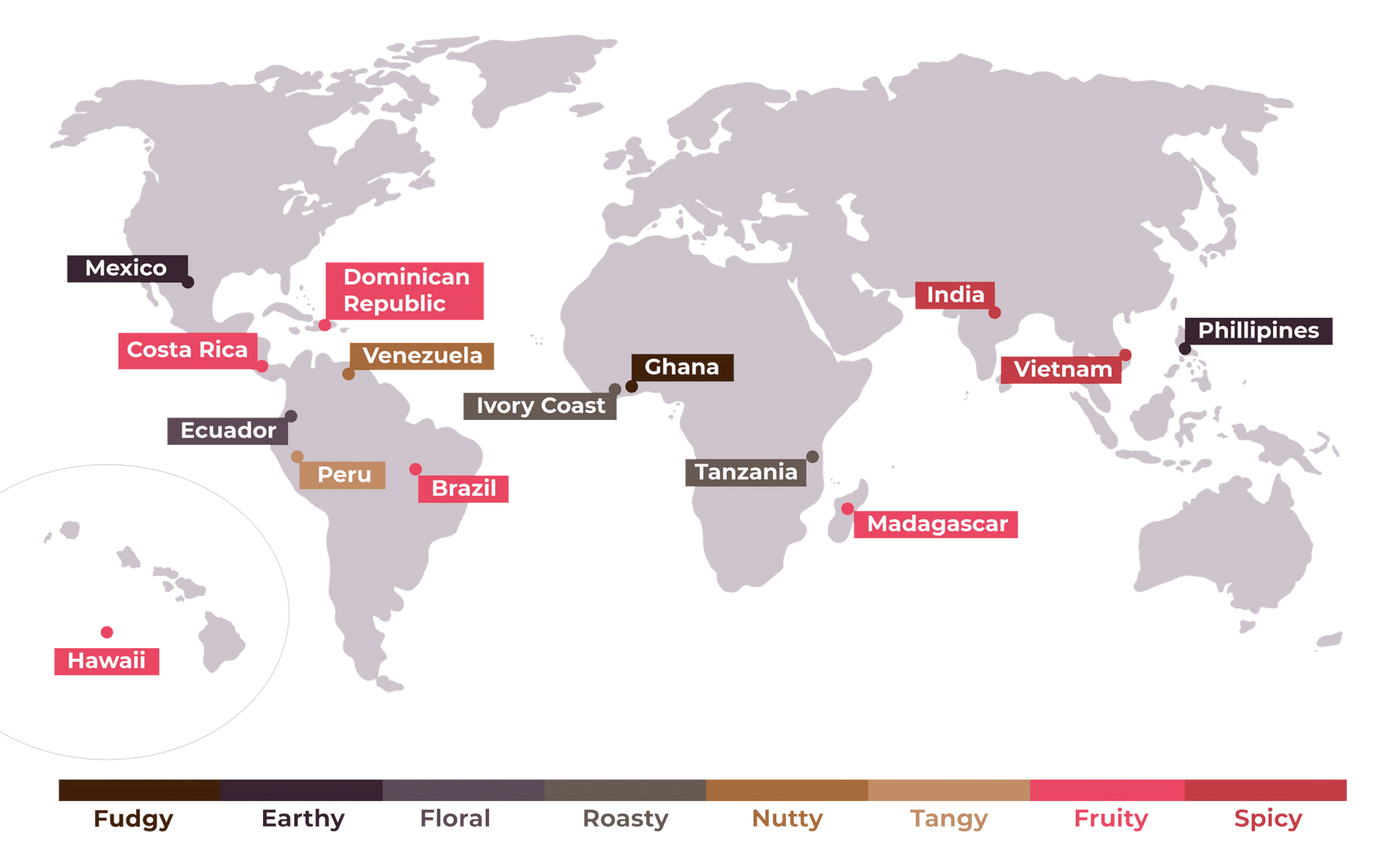 Flavor map showing cacao growing regions and associated flavor profiles. Single Origin Chocolate